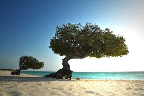 Aruba aangepaste vakantie