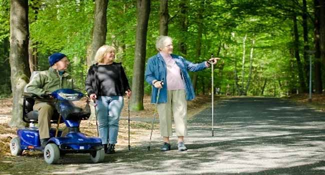 600×350 Grootstokker