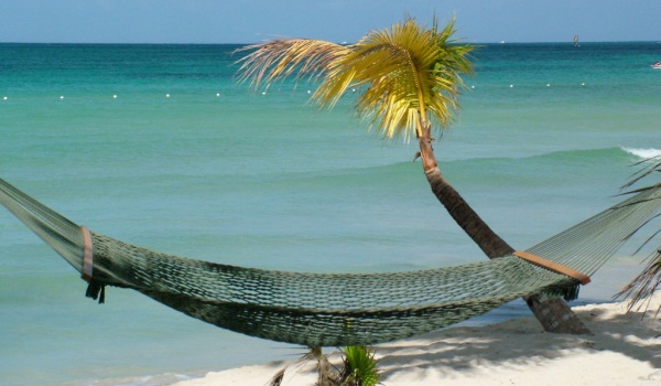 600×350 Jamaica Hangmat
