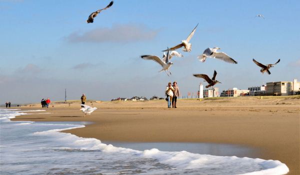 600×350 NL Strandwandeling