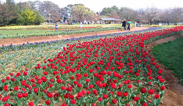 Nederland Floriade