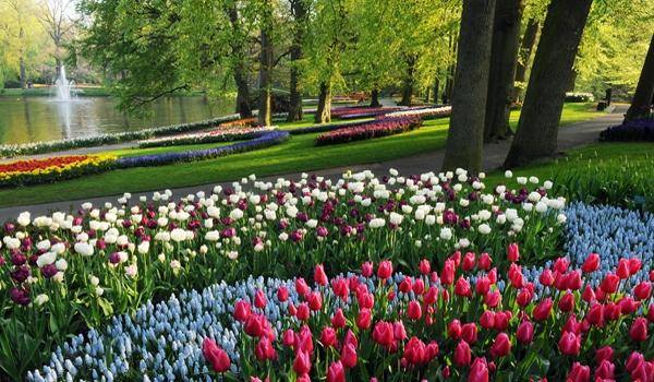600×350 Keukenhof (2)