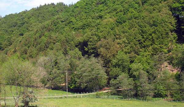 600×350-DE-Eifel-uitzicht