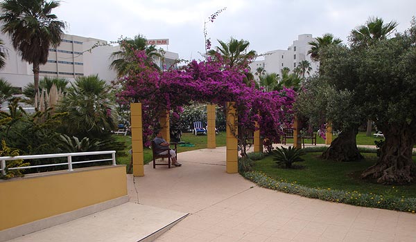 600×350-Cala-Milor-Garden-hotel-tuin