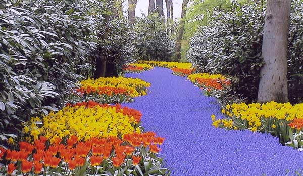 600×350-Keukenhof-01-1.jpg