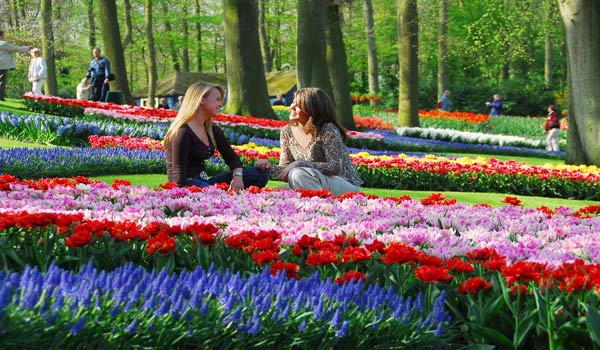 600×350-Keukenhof-04-1.jpg