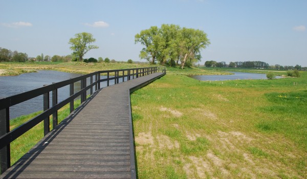 600×350-NL-Zwiesenborg-omgeving.jpg